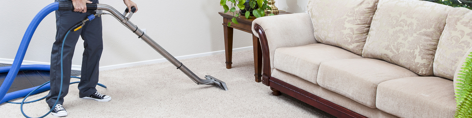 Carpet Cleaning By Professional Carpet Cleaners In Macomb Mi