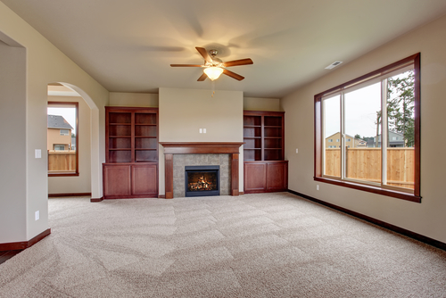 Carpet Cleaning