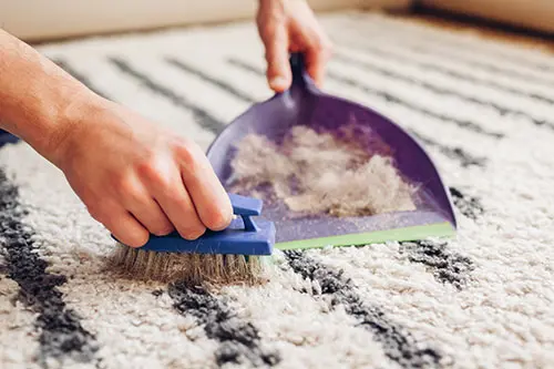 carpet cleaning