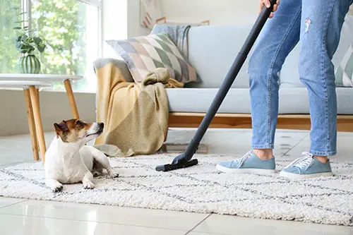 carpet cleaning
