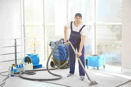 carpet cleaning 