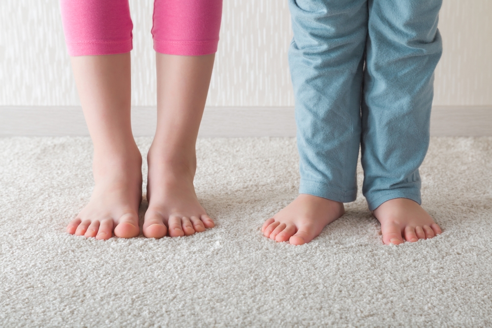nuway-dry-carpet-cleaning nuway-dry-carpet-cleaning