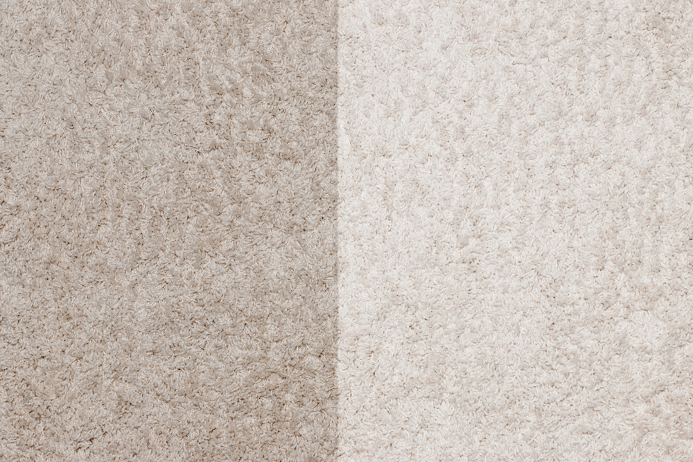 nuway-dry-carpet-cleaning nuway-dry-carpet-cleaning